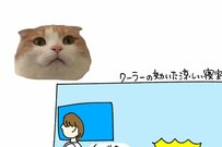 クイーンベッドでの猫あるあるにSNS反響「朝肩こりますねw」