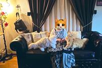 猫との暮らし【理想と現実】比較画像が話題　変貌ぶりに「愛おしいw」