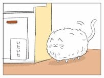 実は面倒見がいい？モコモコ過ぎる猫「モコ」が愛される理由