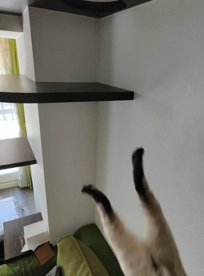 「カッコイイ写真を撮ったはずだったのに…」