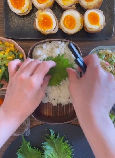 投稿動画のワンシーン