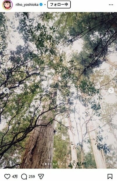 吉岡里帆のInstagram投稿