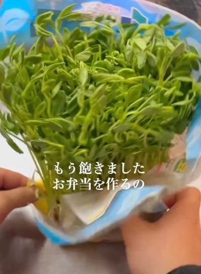 投稿動画のワンシーン