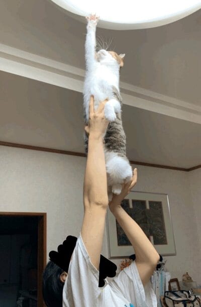 投稿の画像