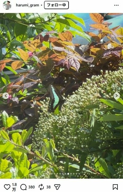 栗原はるみのInstagram投稿