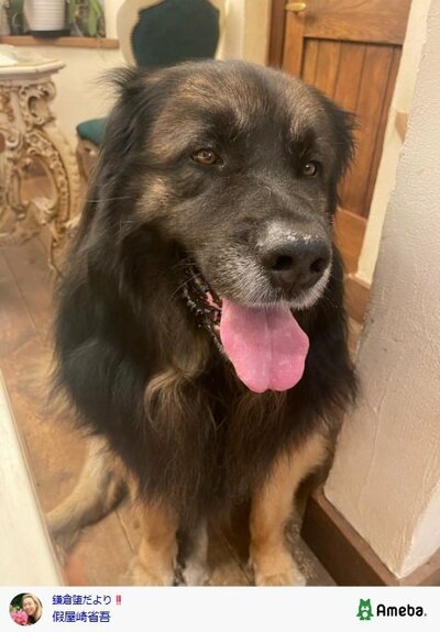 假屋崎省吾のAmebaブログ投稿