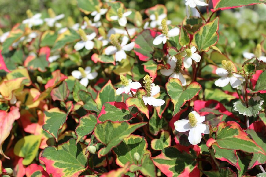 Martina Unbehauen/istockphoto.com