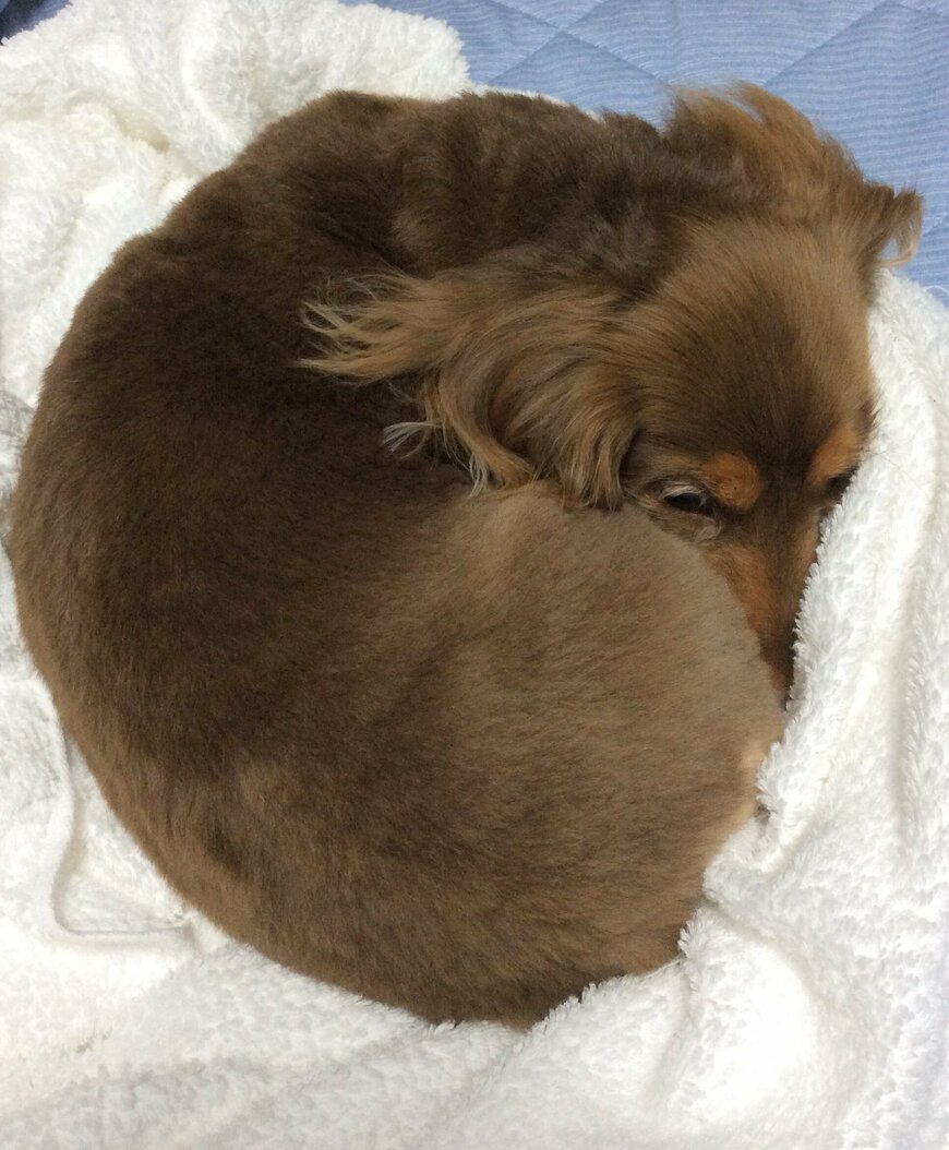 出所：@Forester_572