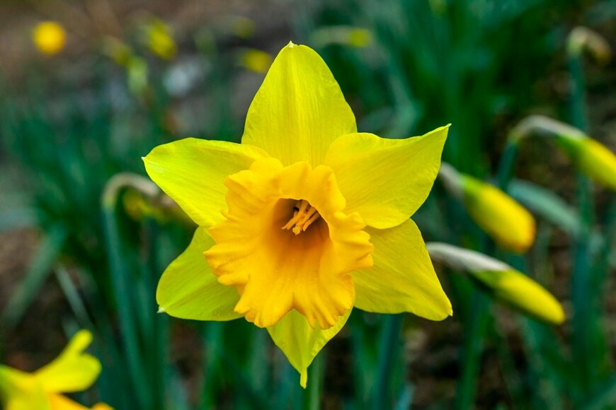 TonyBaggett/istockphpto.com