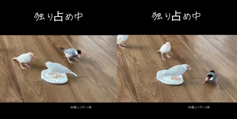 出所：@buntyo_suehiro