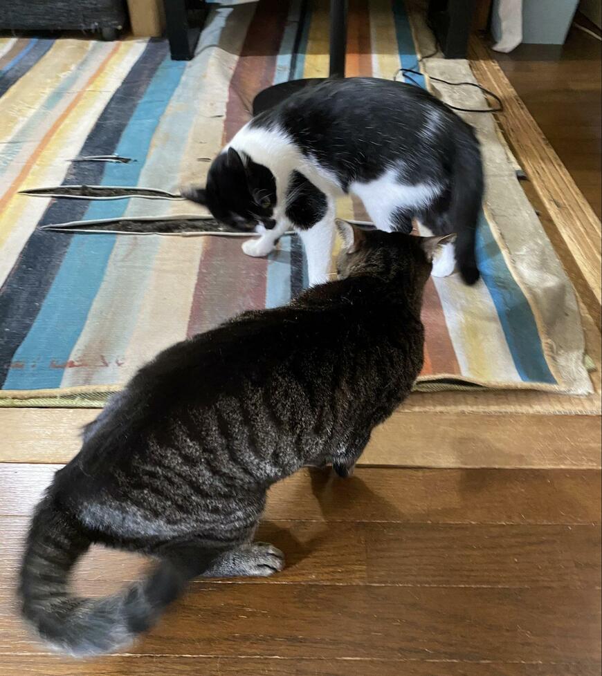 出所：@00shitemita