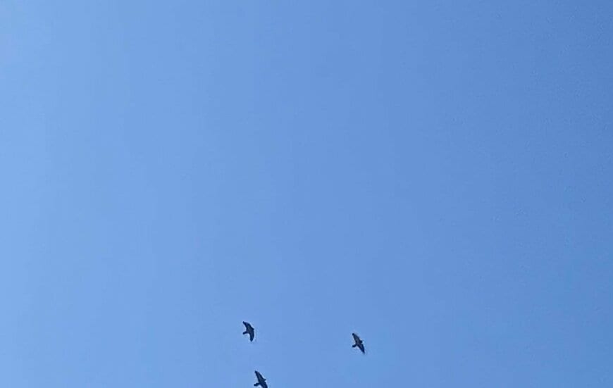 出所：@wavemomchan