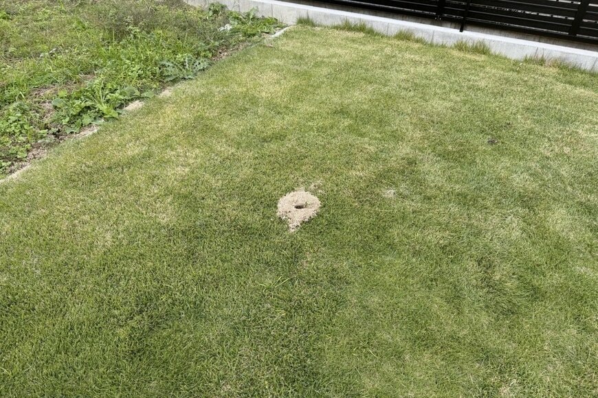 わずか数分の間に庭に出現した「穴」　監視カメラ映像に残った「まさかの正体」に思わず目を疑う