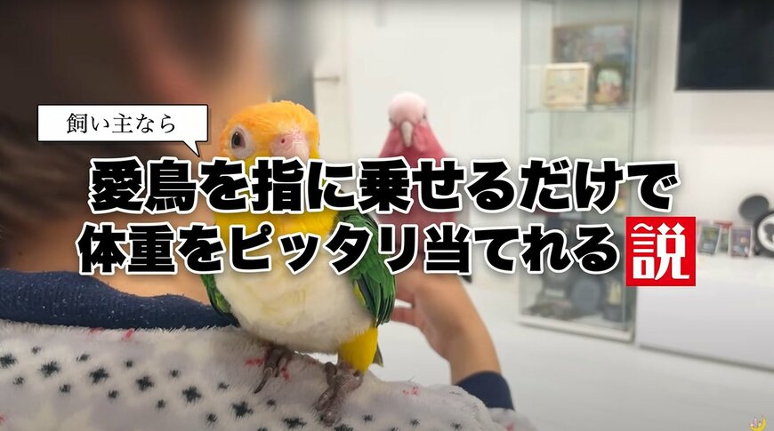 出所：@anz_omomiri