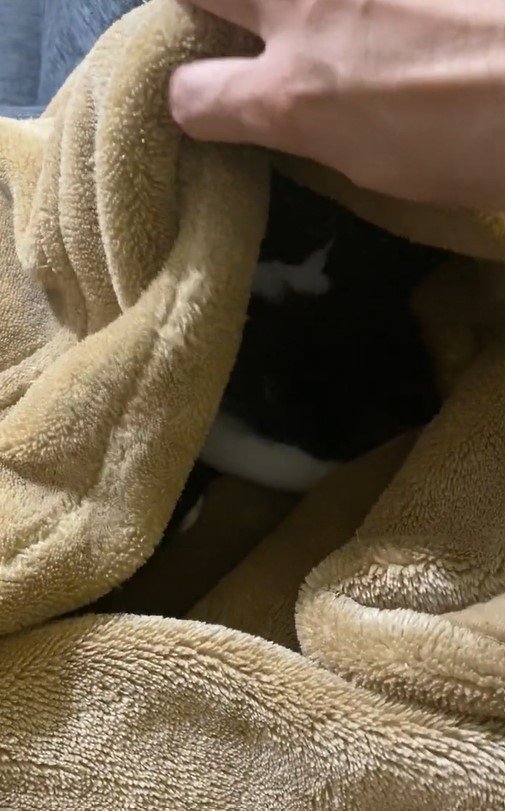 出所：@00shitemita