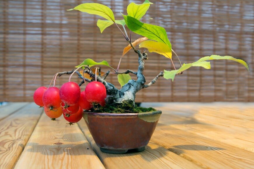 User10095428_393/istockphoto.com