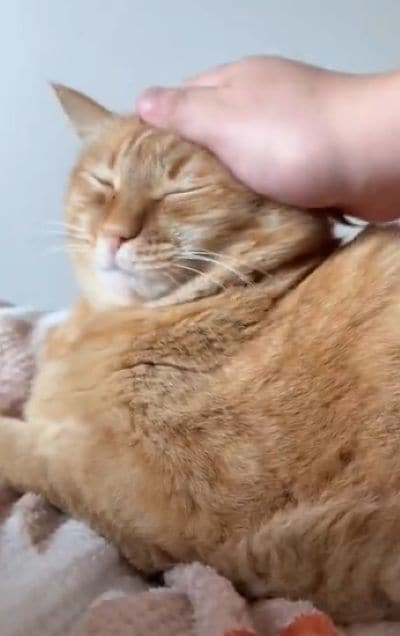 出所：@kagisuzu0531