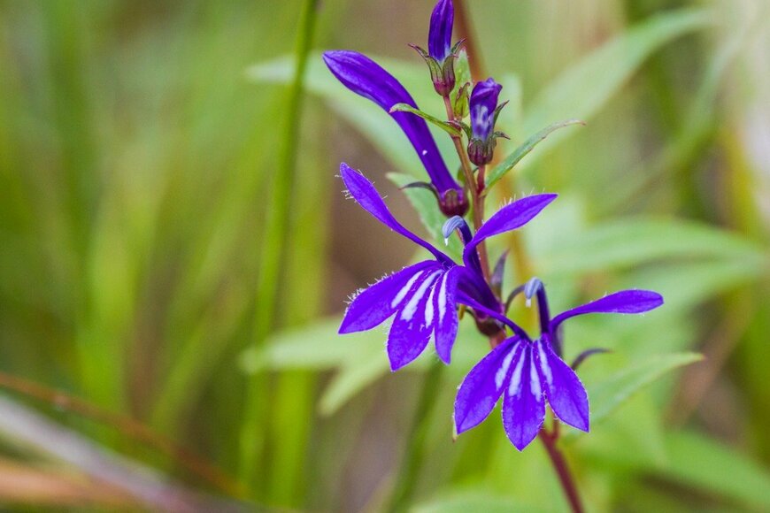 Biscut/istockphoto.com