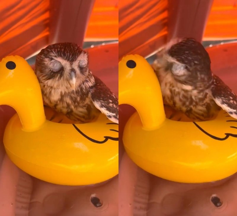 出所：@cr8673.hiro