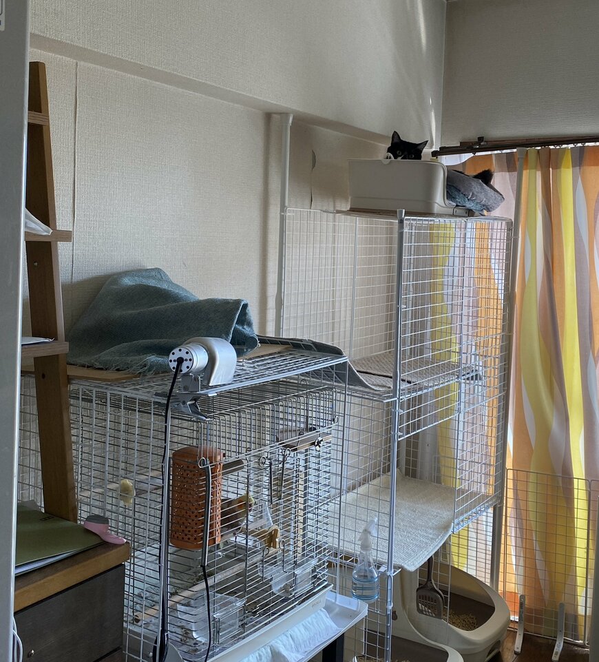 出所：@00shitemita