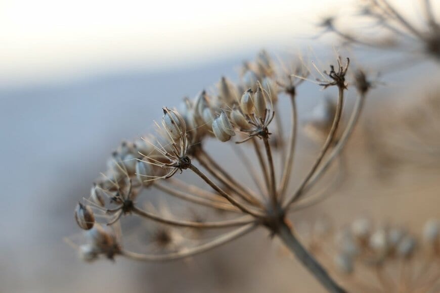 PippW/shutterstock.com