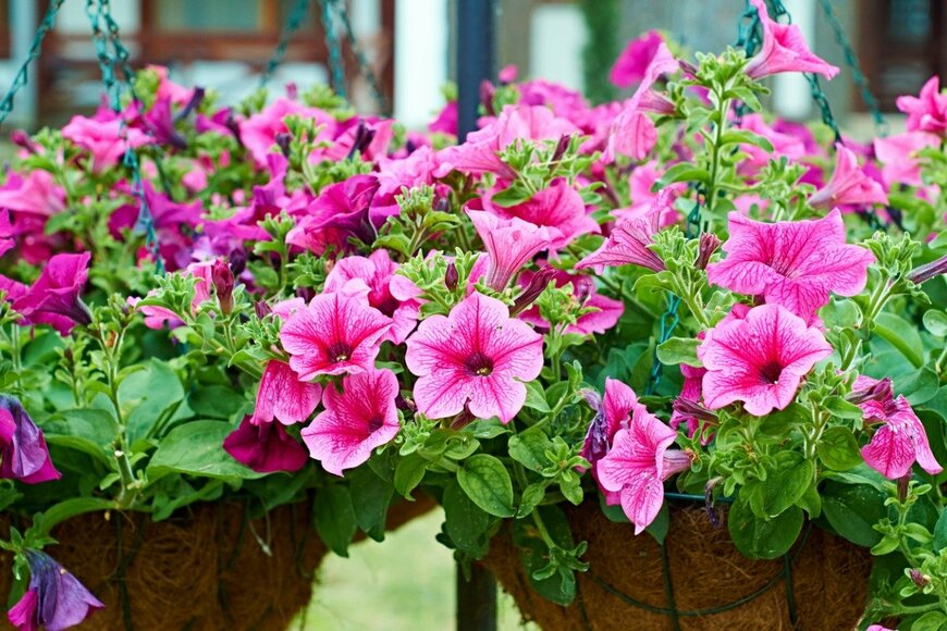 Dzurag/istockphoto.com