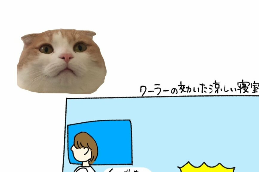 クイーンベッドでの猫あるあるにSNS反響「朝肩こりますねw」