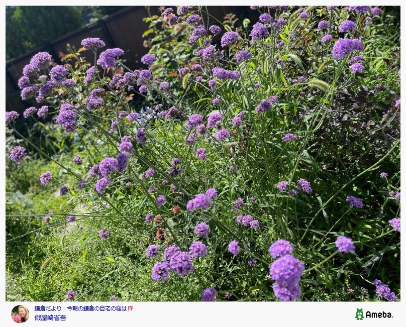 出所：假屋崎省吾のAmebaブログ 参照日：2025年7月10日