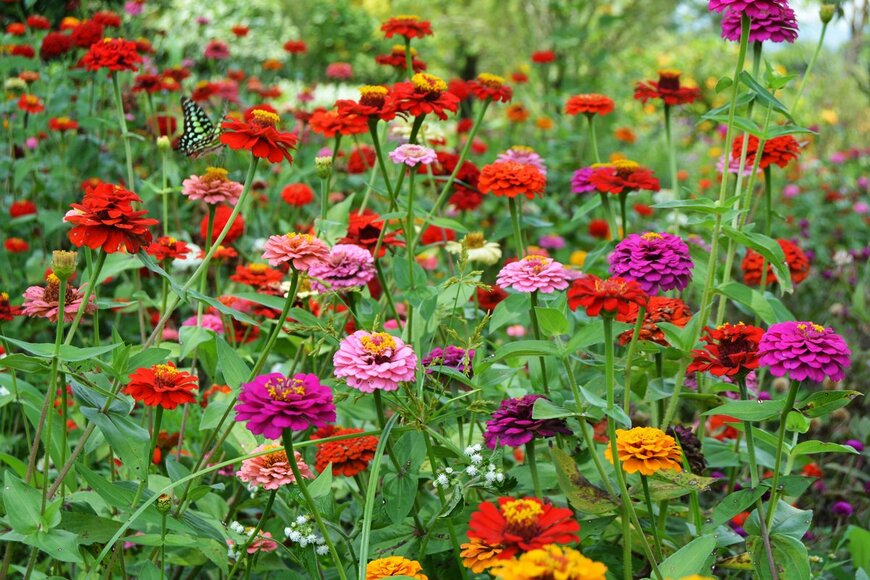 Gatot Wahyu Handono/shutterstock.com