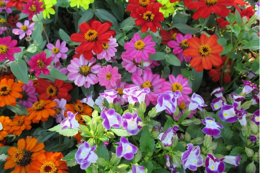 Yasuo Iwami/istockphoto.com