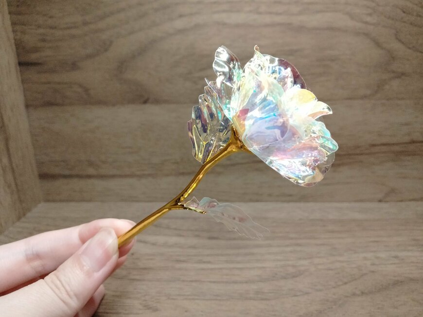 筆者撮影（セリア、ミニオーロラローズ）