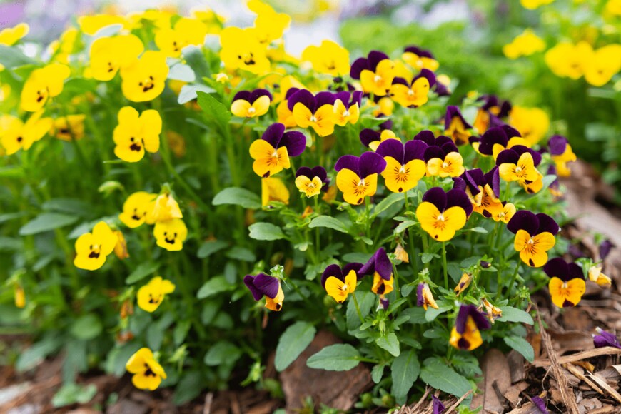 Eric Krouse/shutterstock.com