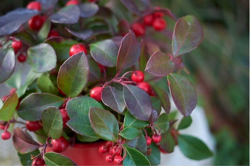 seven75/istockphoto.com