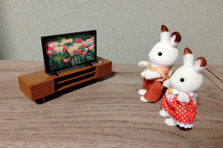 筆者撮影（山田化学株式会社、ミニチュア　テレビ・ミニチュア　テレビ台）