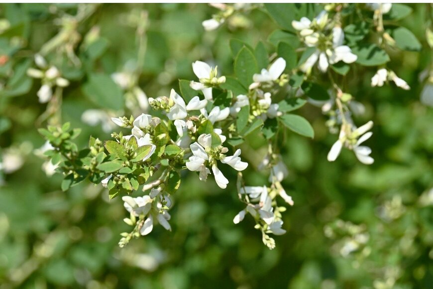 undefined undefined/istockphoto.com