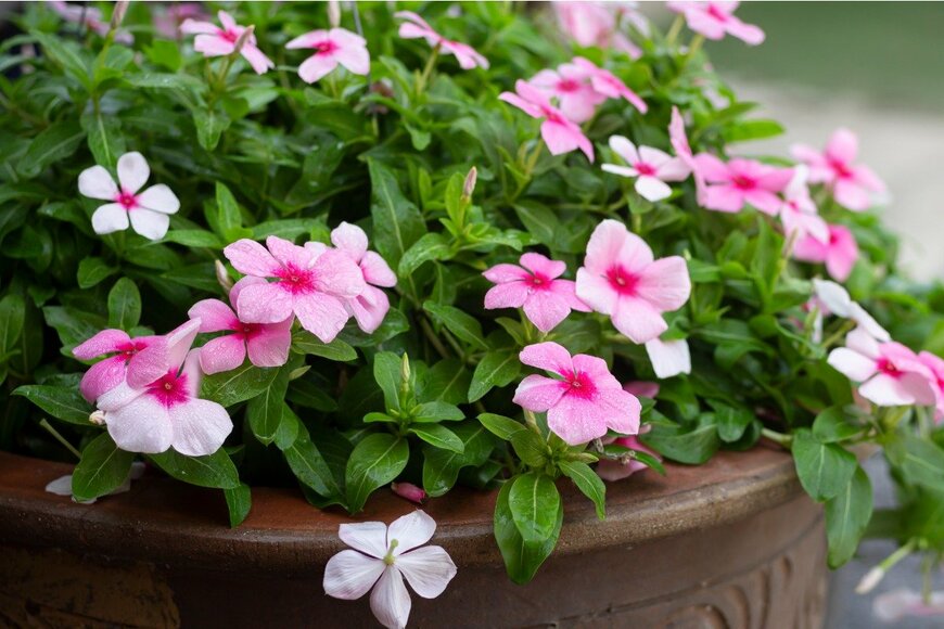 Wira Thigosee/istockphoto.com