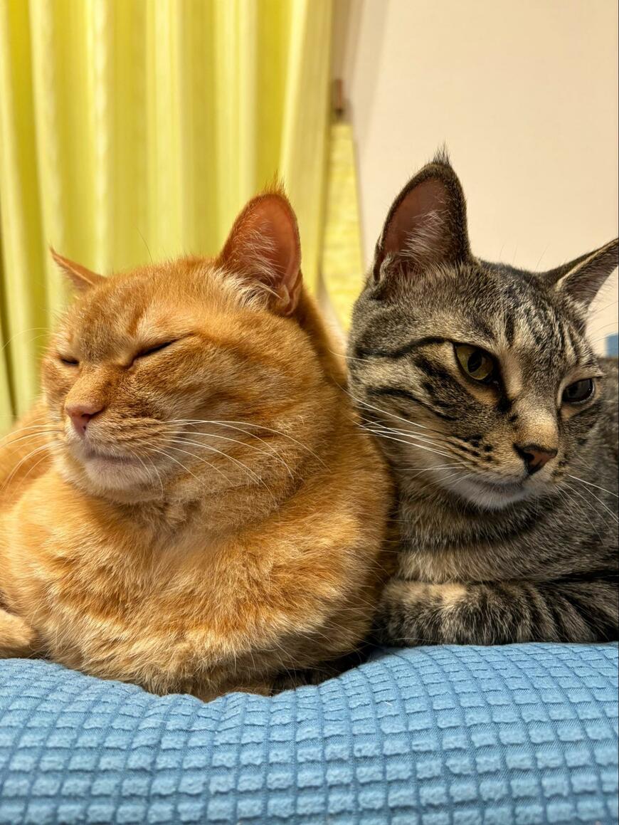 出所：@kagisuzu0531