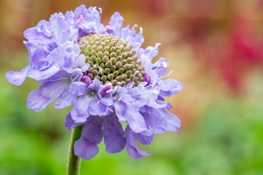 TonyBaggett/istockphoto.com