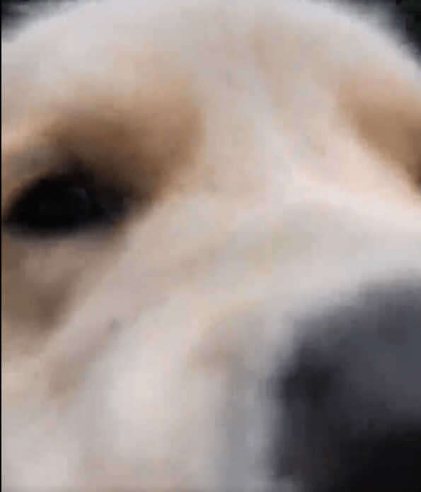 出所：@elmo_golret