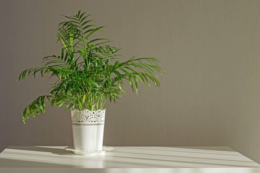 Zemskaya/shutterstock.com