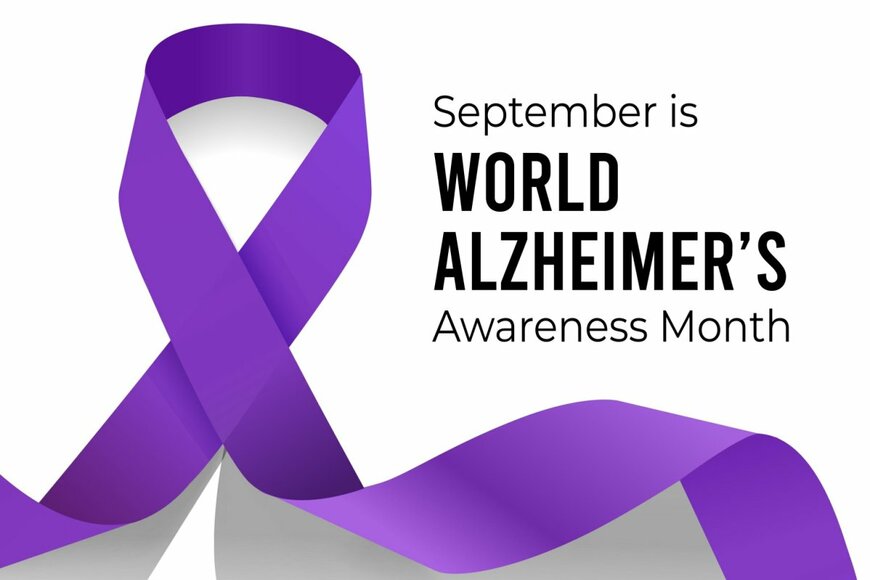 My Portfolio/shutterstock.com