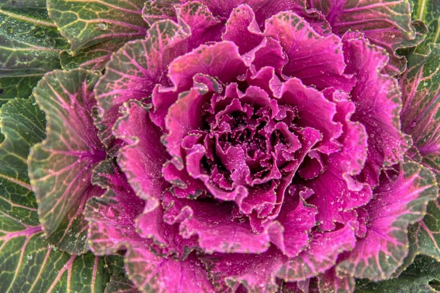 precinbe/shutterstock.com