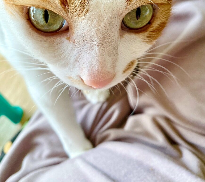 出所：@luna7taka9