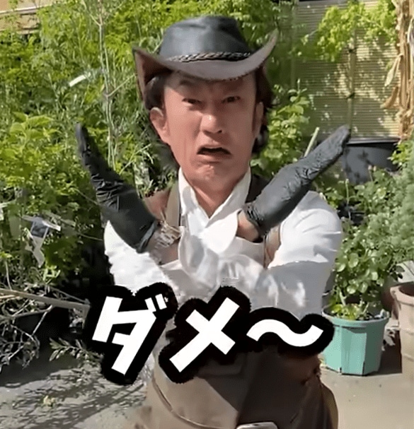 これから休む植物には与えない