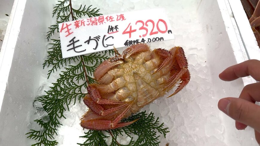 購入した毛ガニ