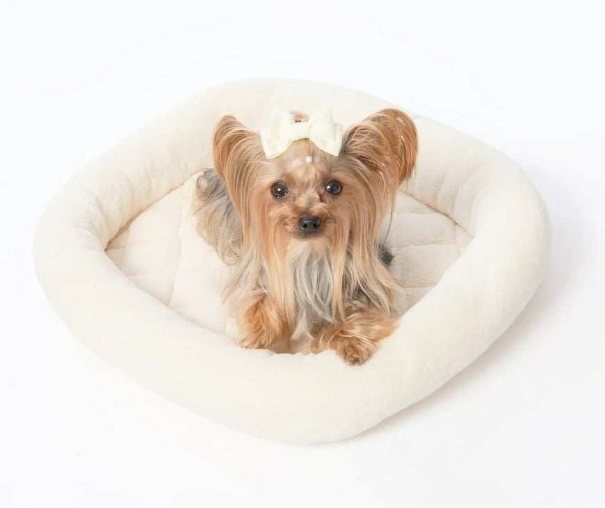 イオン株式会社　PETEMO オールシーズンベッド