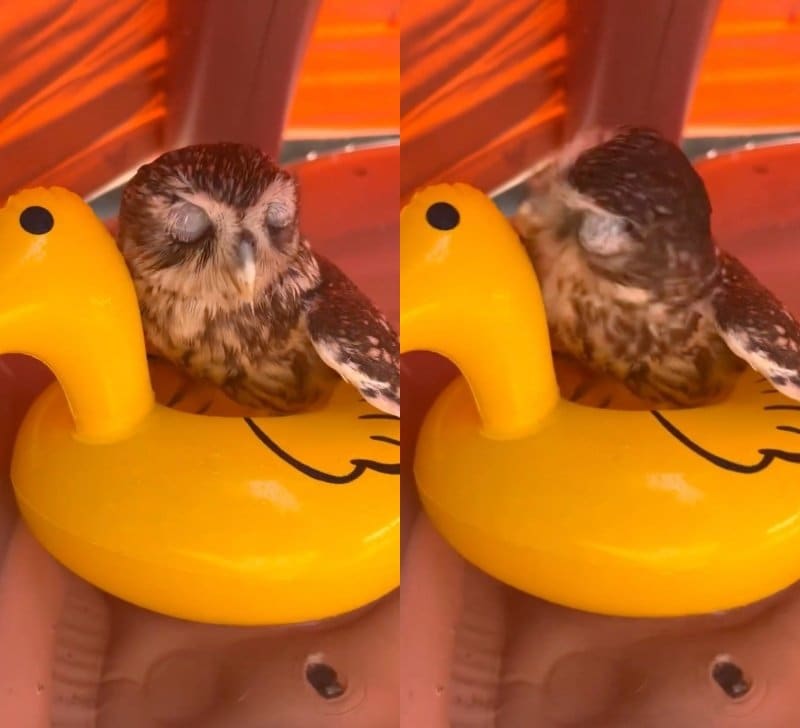 投稿動画のワンシーン