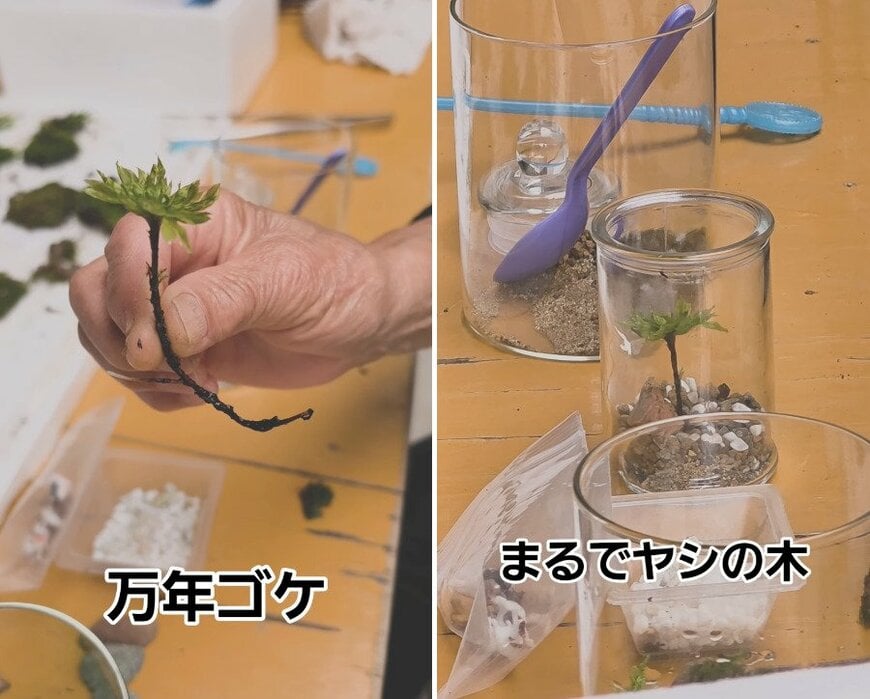 80代の趣味