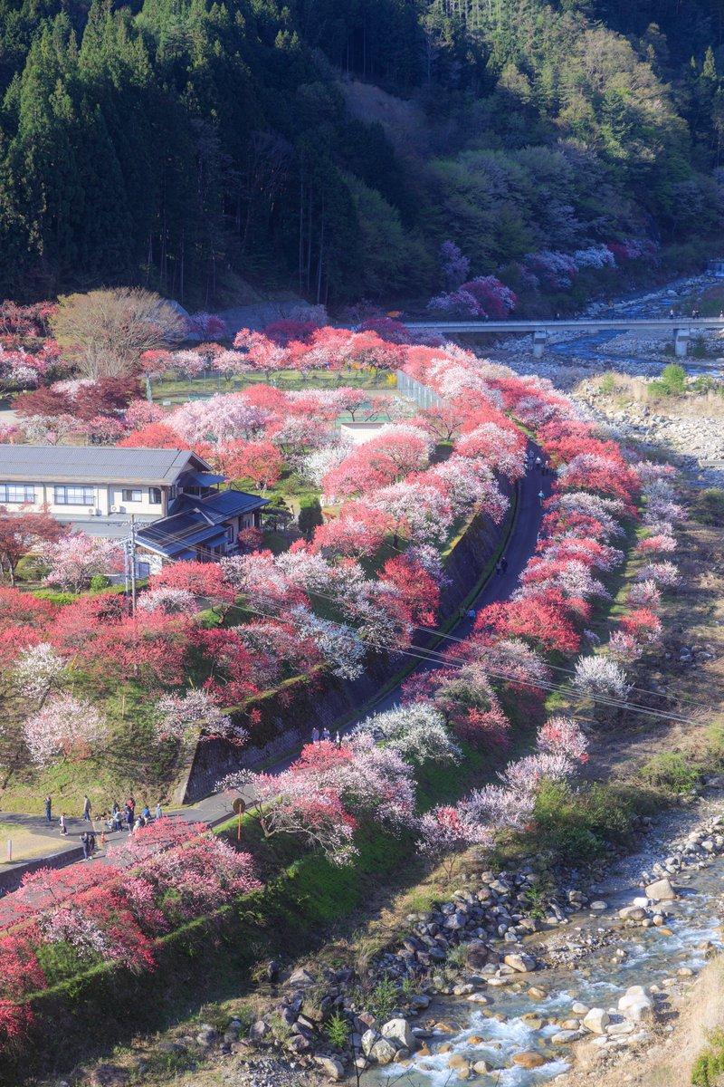 長野県で撮影された絶景