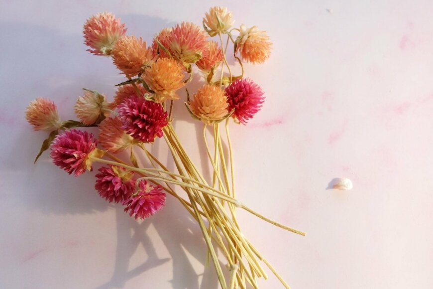 センニチコウのドライフラワーの花束。色は赤とピンク。背景は薄いピンク
